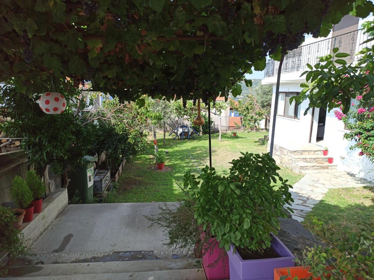 Dora'S House Comfortable Apartment With A Yard And View Пиргадикия Екстериор снимка