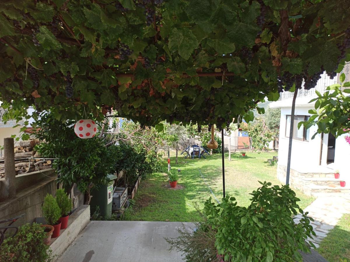 Dora'S House Comfortable Apartment With A Yard And View Пиргадикия Екстериор снимка